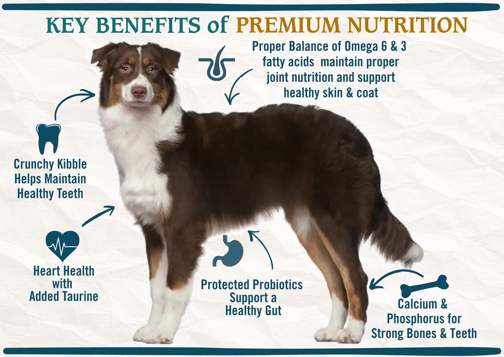 Chicken Brown Rice & Turkey Dry Dog Food 13.5lb I35110