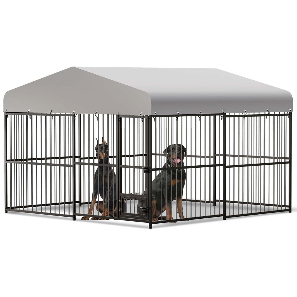 10x10x6 ft Heavy-Duty Outdoor Dog Kennel with Roof F81648