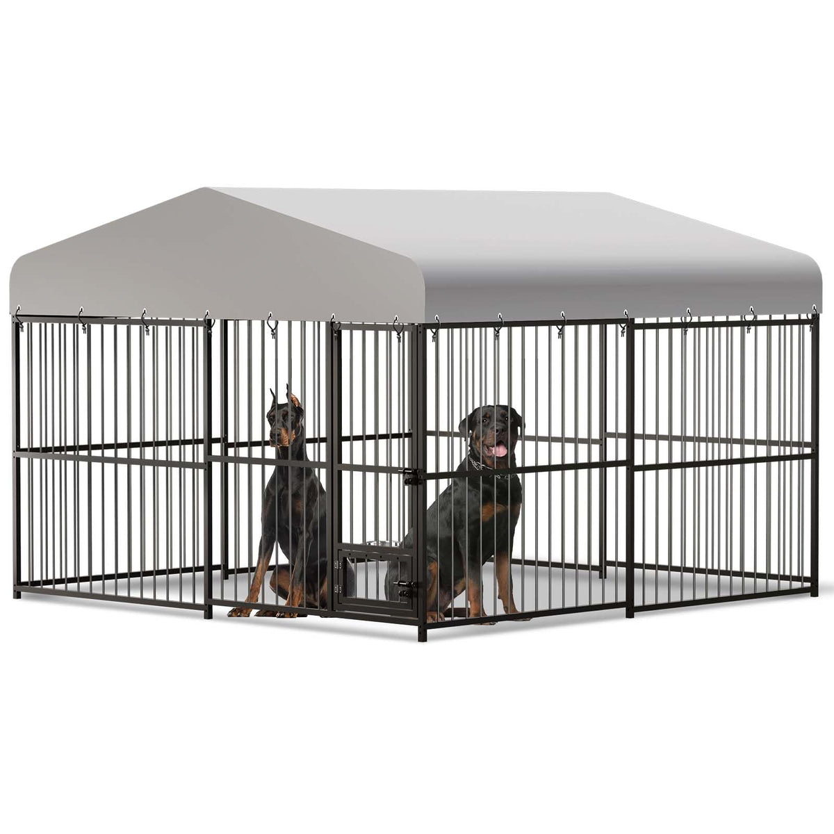 10x10x6 ft Heavy-Duty Outdoor Dog Kennel with Roof F81648