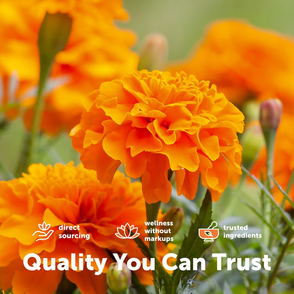 Lutein Zeaxanthin 40mg Omega-3 DHA EPA P731