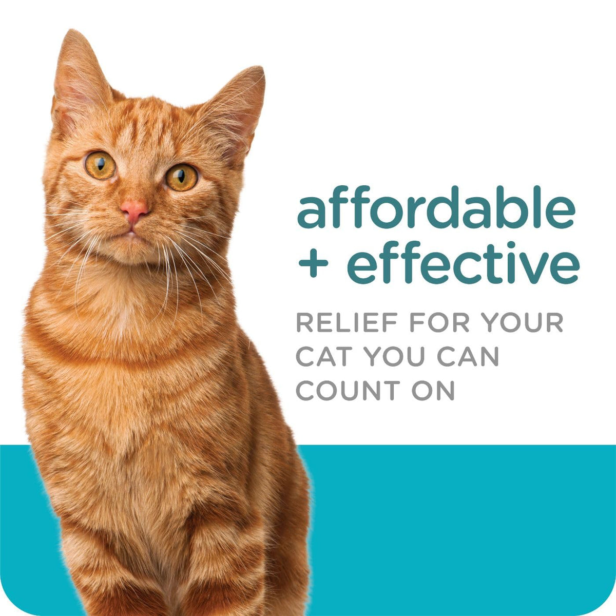 Flea & Tick Topical Cats 3-Month L371