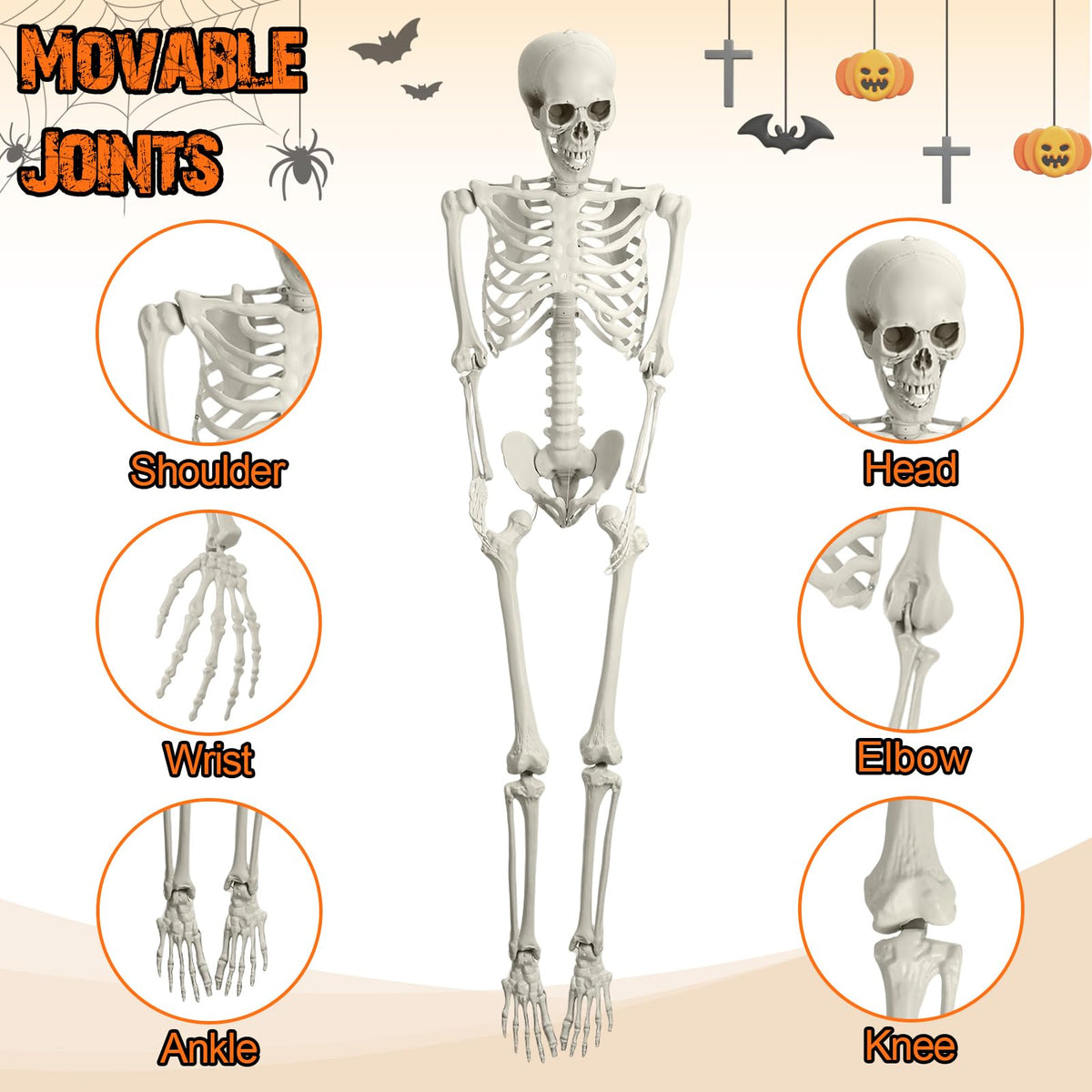 5.4FT Posable Life Size Skeleton E7913
