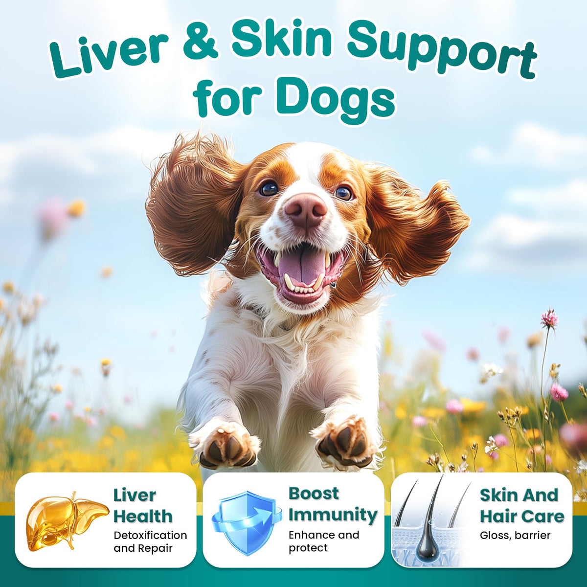 Milk Thistle Supplement for Dogs with Curcumin Choline Fish Oil Prebiotics Chicken Flavor Z1371