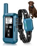 Dog Training Collar with Remote H709899