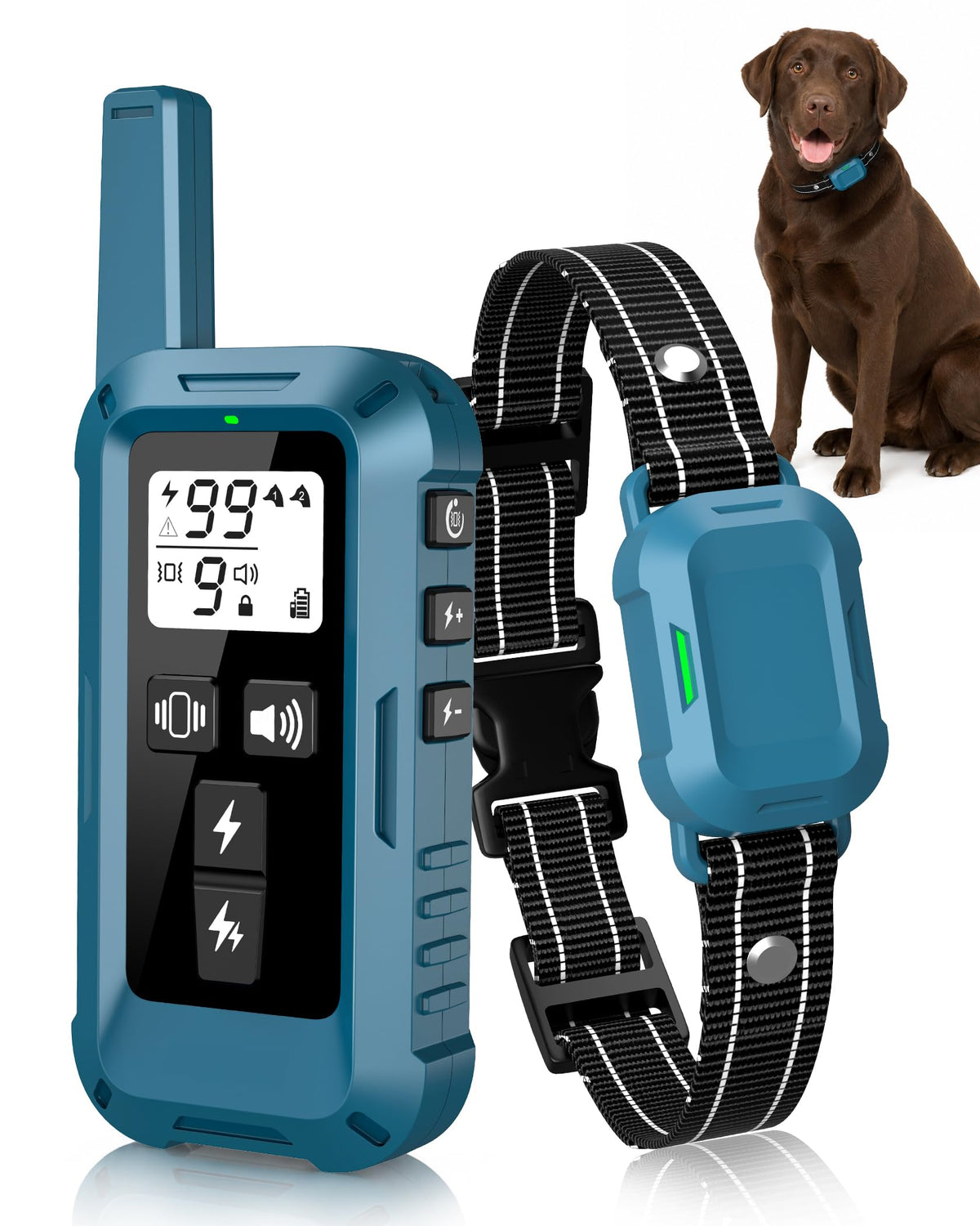Dog Training Collar with Remote H709899