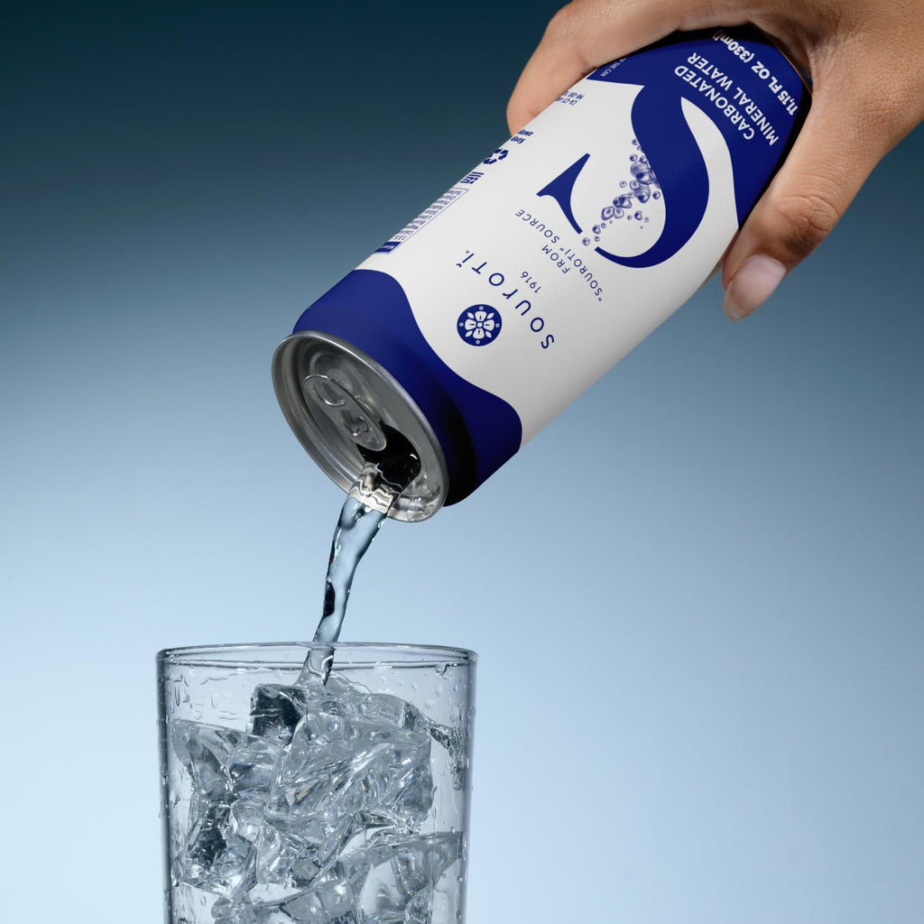 Unflavored Carbonated Mineral Water 6-Pack 330ml Tins N96881