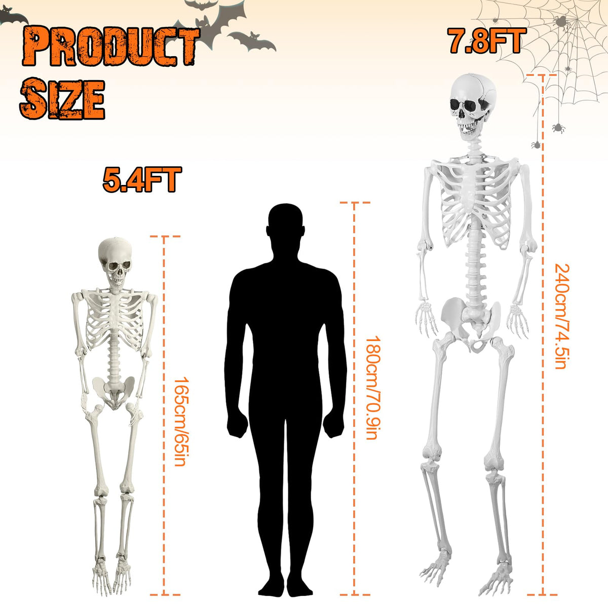 5.4FT Posable Life Size Skeleton E7913