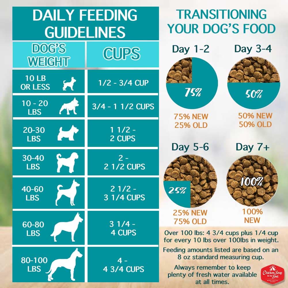 Chicken Brown Rice & Turkey Dry Dog Food 13.5lb I35110