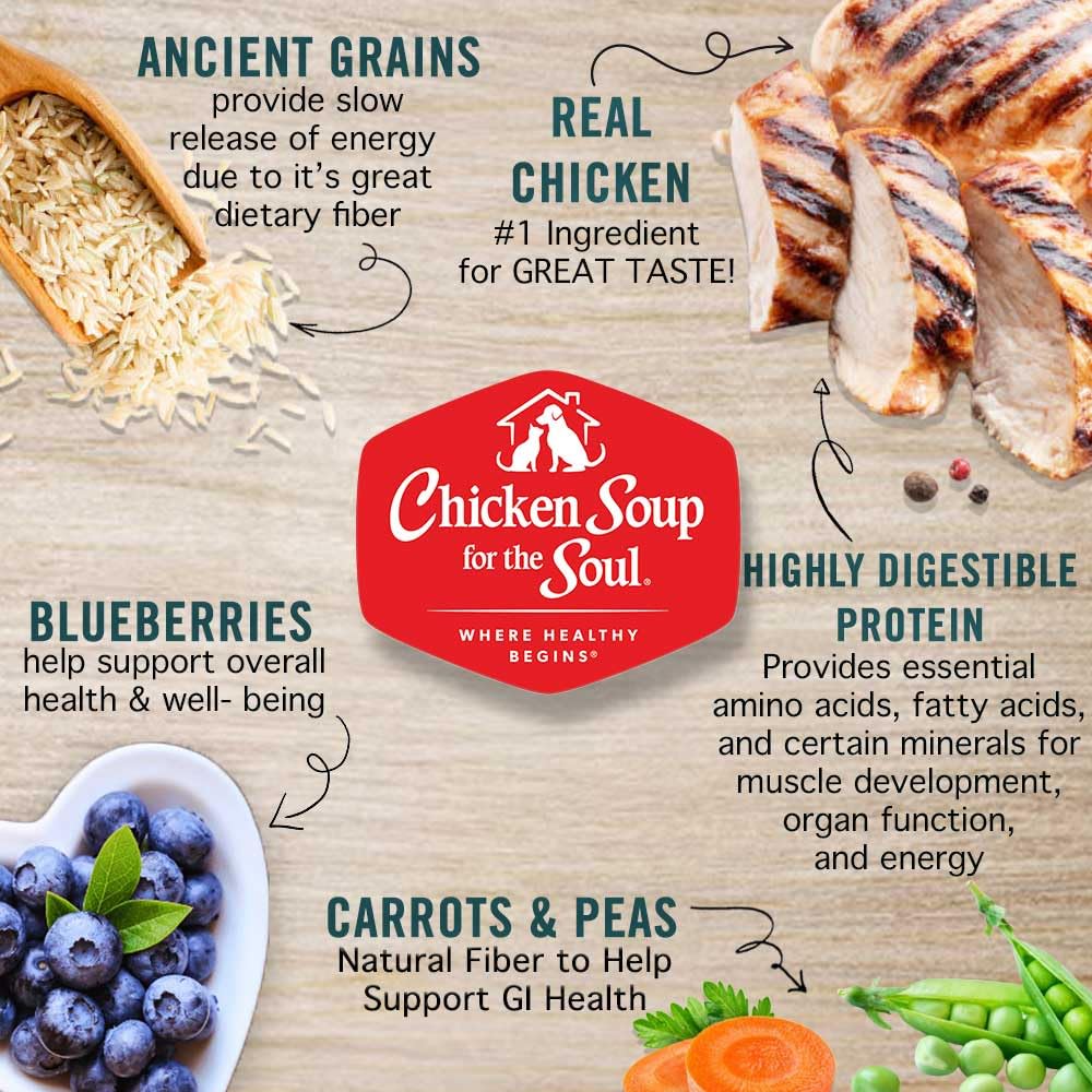 Chicken Brown Rice & Turkey Dry Dog Food 13.5lb I35110