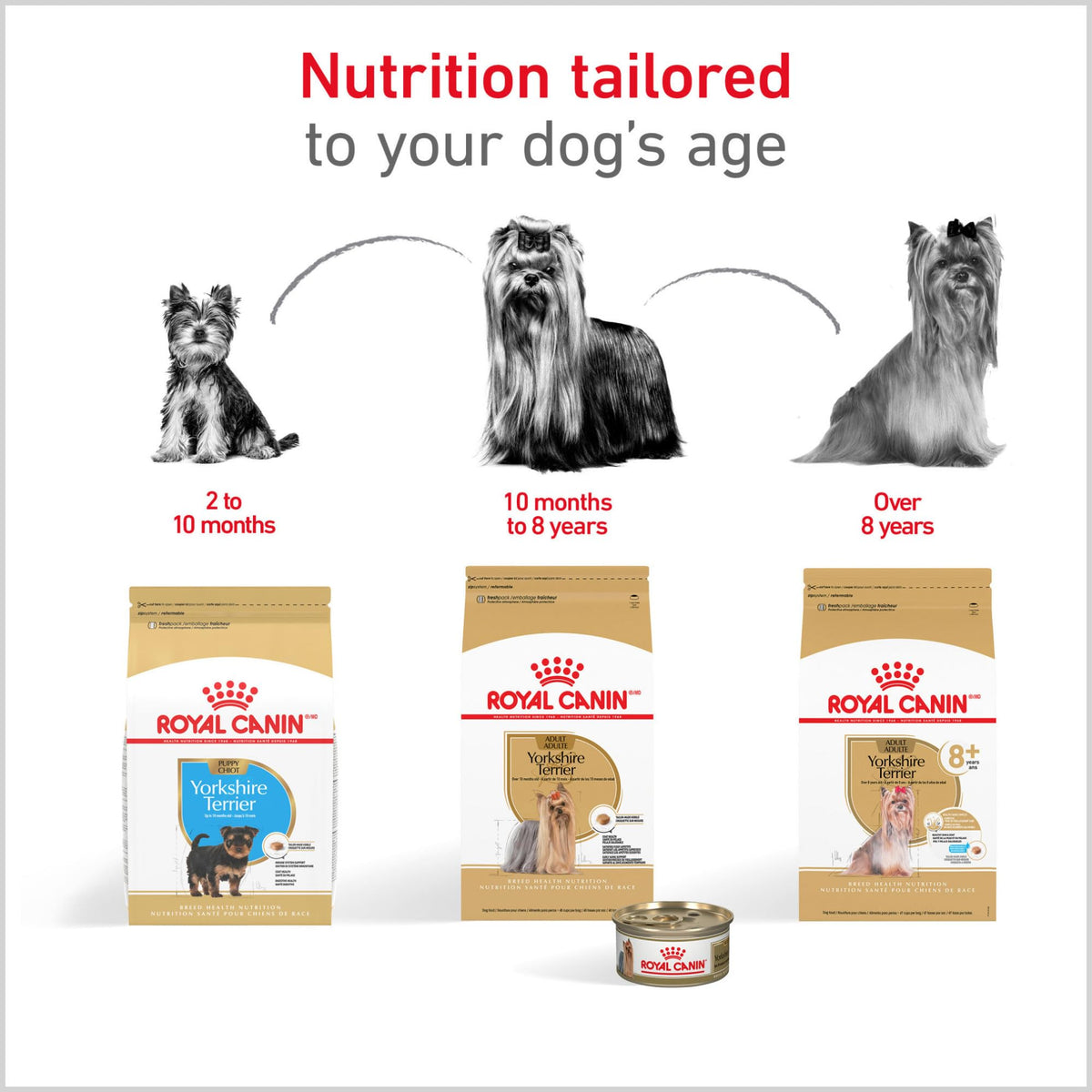 Adult Dry Dog Food, 10 lb Bag B402