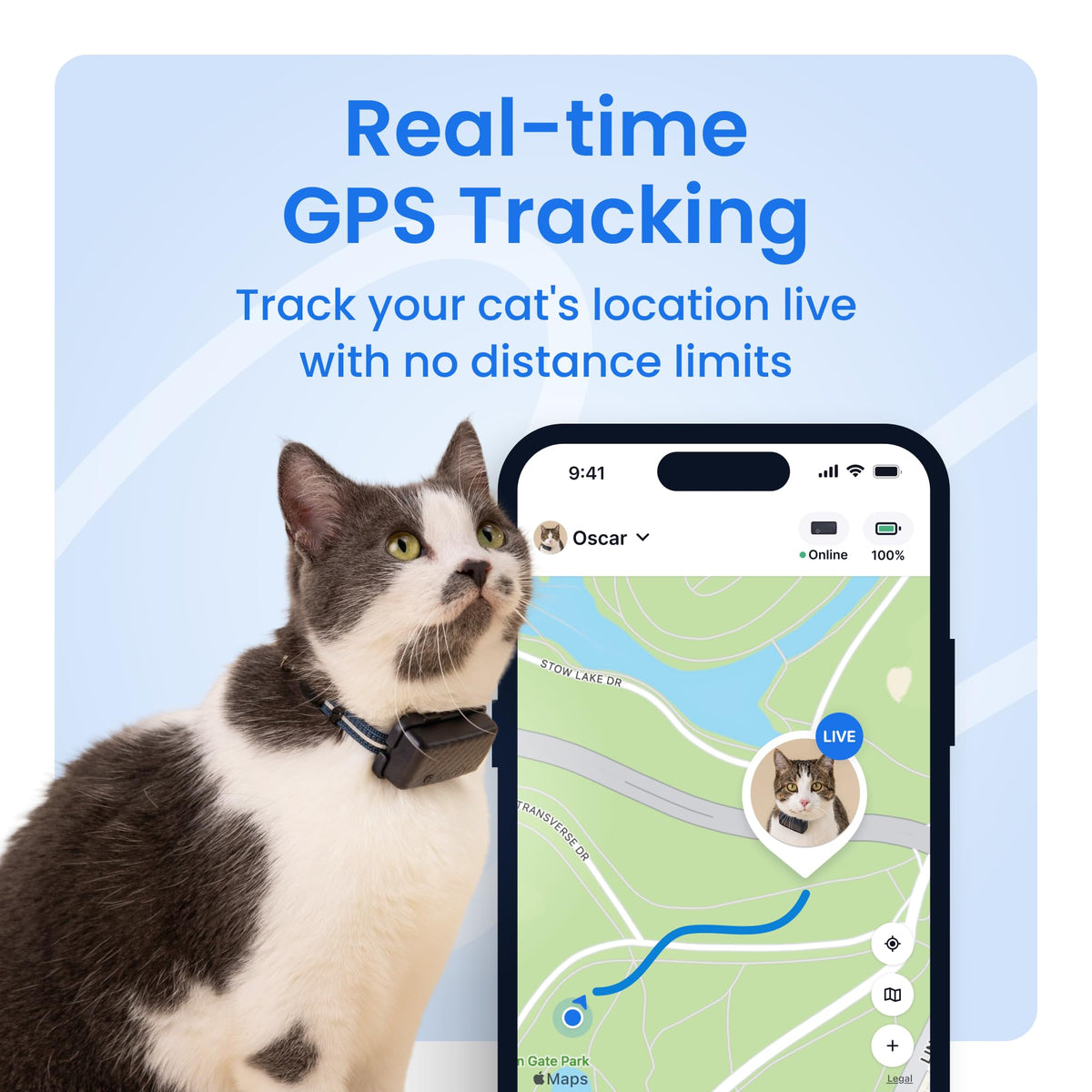 Cat GPS Tracker with Breakaway Collar F268432