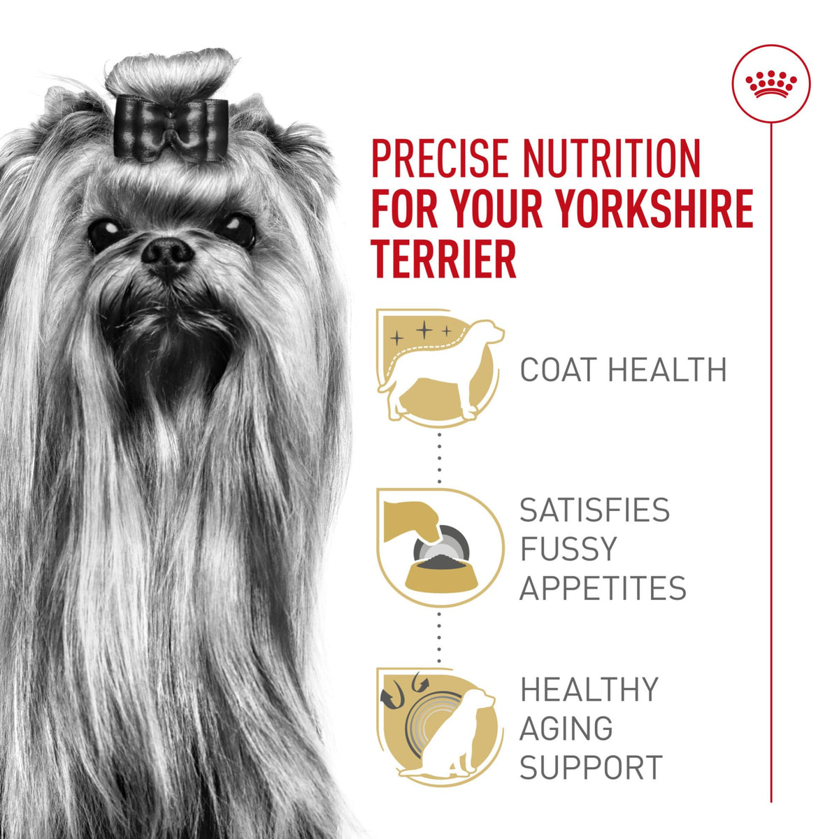 Adult Dry Dog Food, 10 lb Bag B402