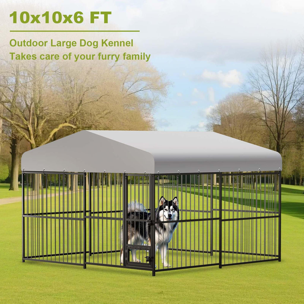 10x10x6 ft Heavy-Duty Outdoor Dog Kennel with Roof F81648