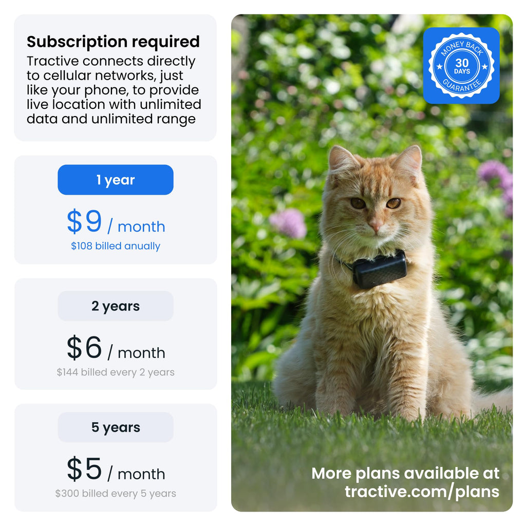 Cat GPS Tracker with Breakaway Collar F268432