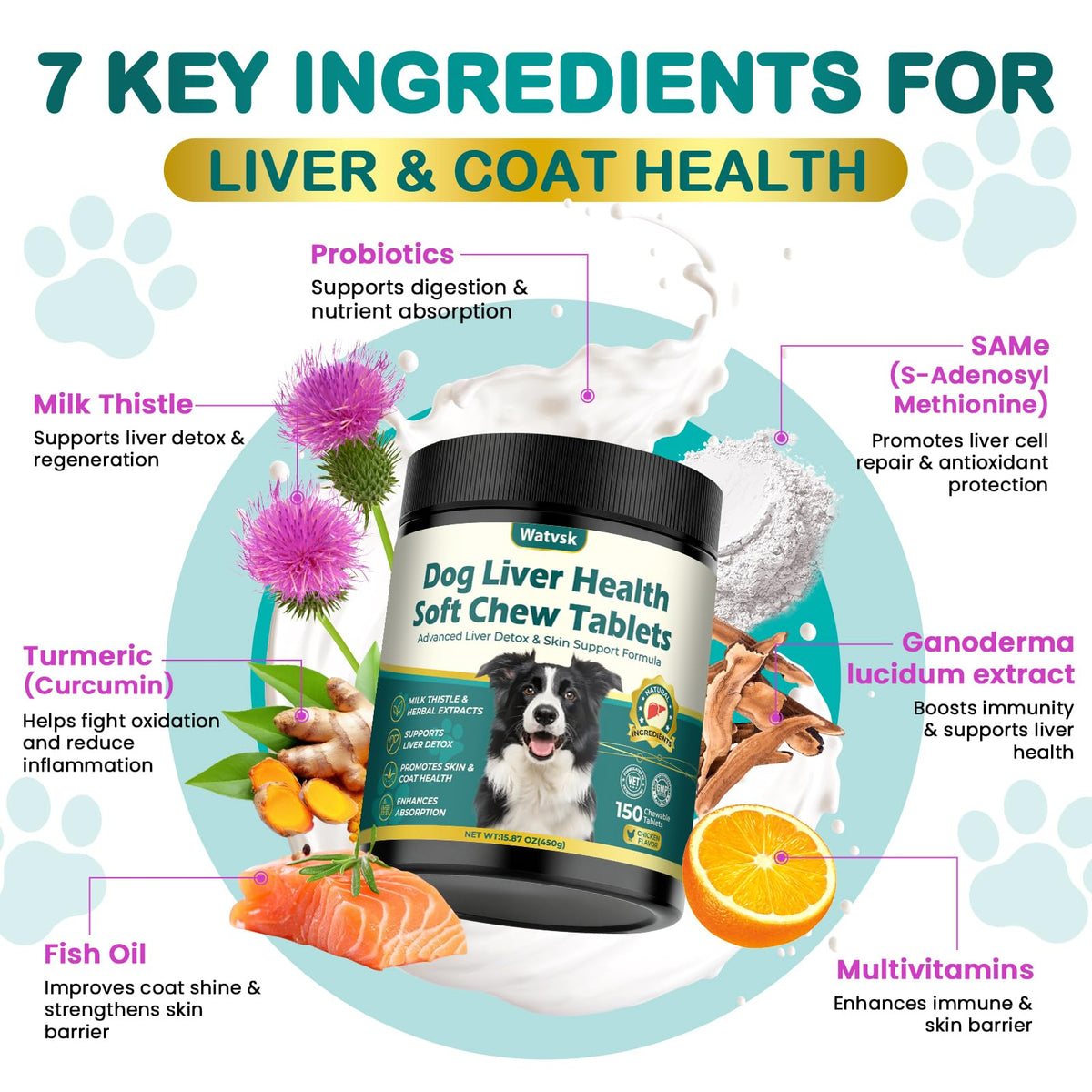 Milk Thistle Supplement for Dogs with Curcumin Choline Fish Oil Prebiotics Chicken Flavor Z1371