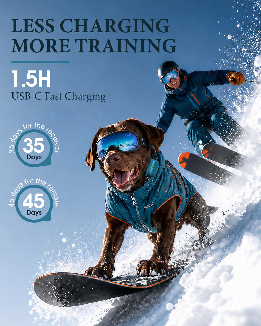 Dog Training Collar with Remote H709899