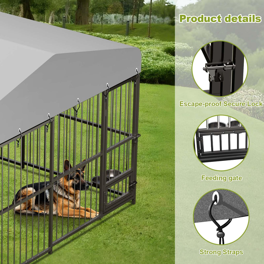 10x10x6 ft Heavy-Duty Outdoor Dog Kennel with Roof F81648