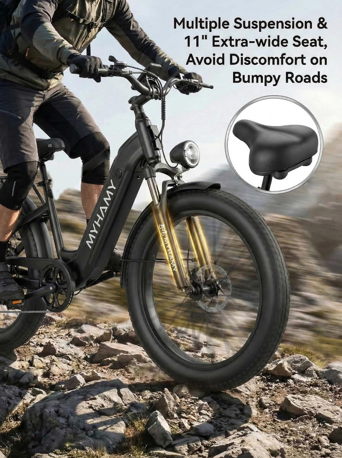 2000W Electric Bike 24 Fat Tire 48V 18Ah Step-Thru Y1554