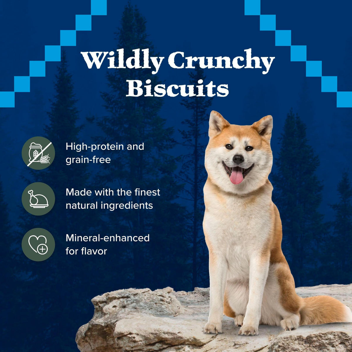 High Protein Grain Free Duck Recipe Dog Biscuits 36-oz L809875