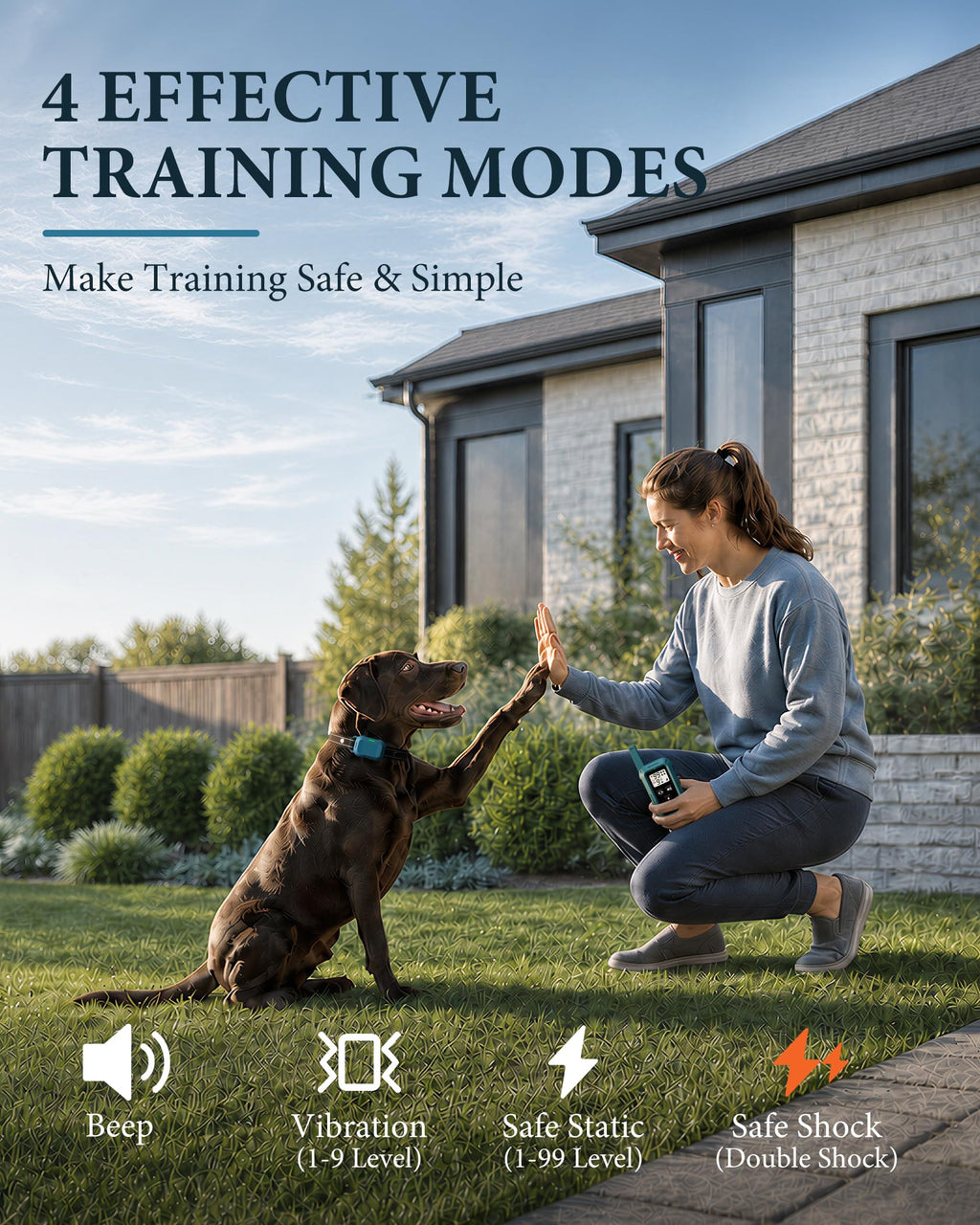 Dog Training Collar with Remote H709899