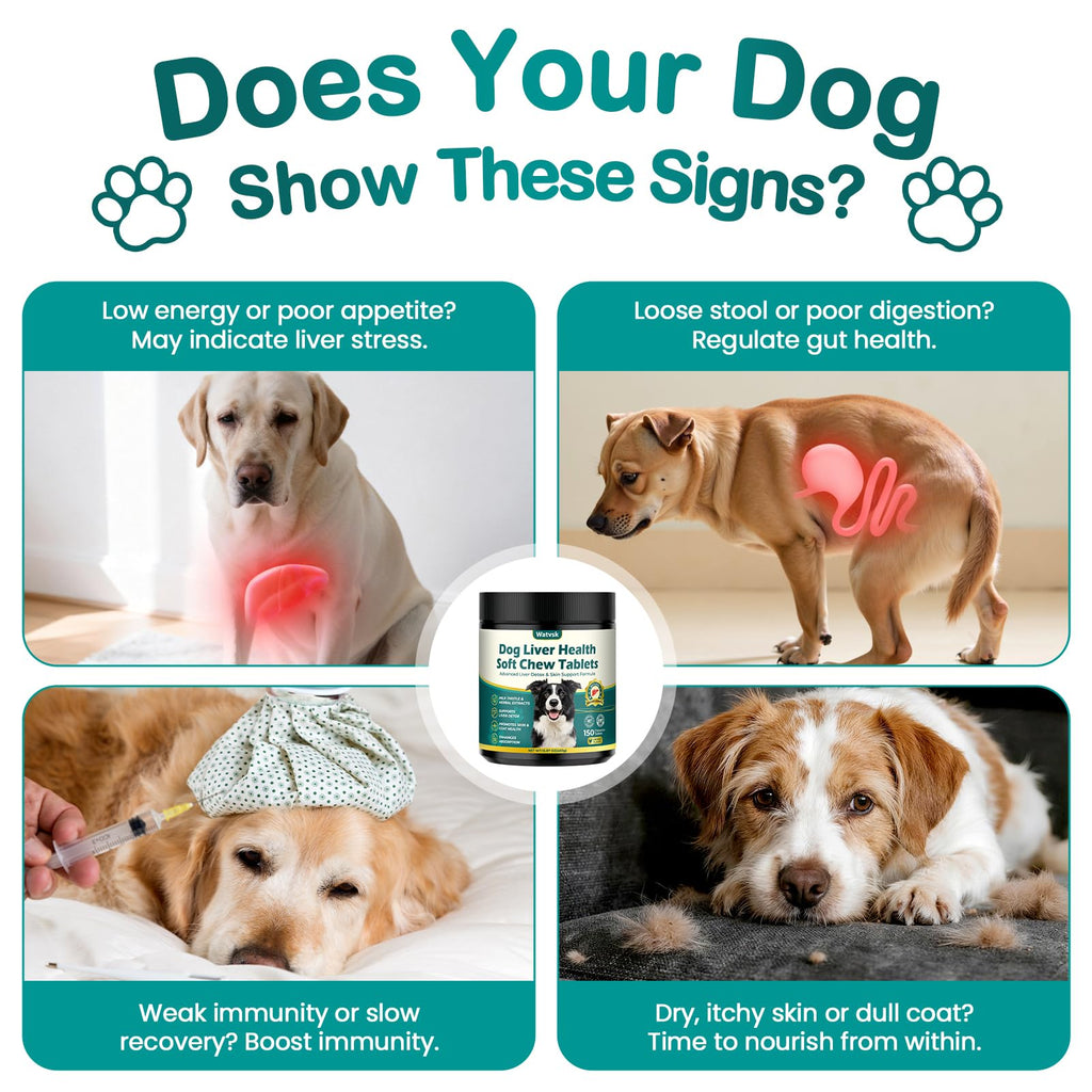 Milk Thistle Supplement for Dogs with Curcumin Choline Fish Oil Prebiotics Chicken Flavor Z1371