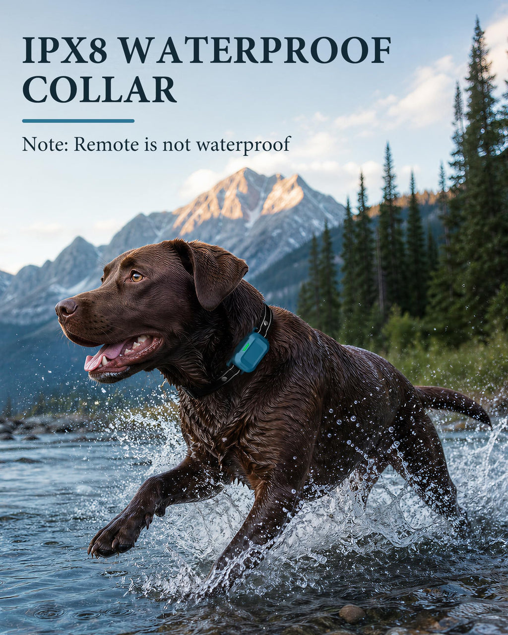 Dog Training Collar with Remote H709899