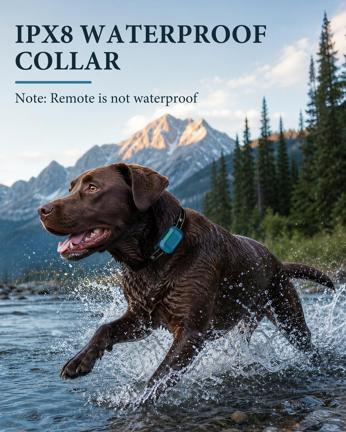 Dog Training Collar with Remote H709899
