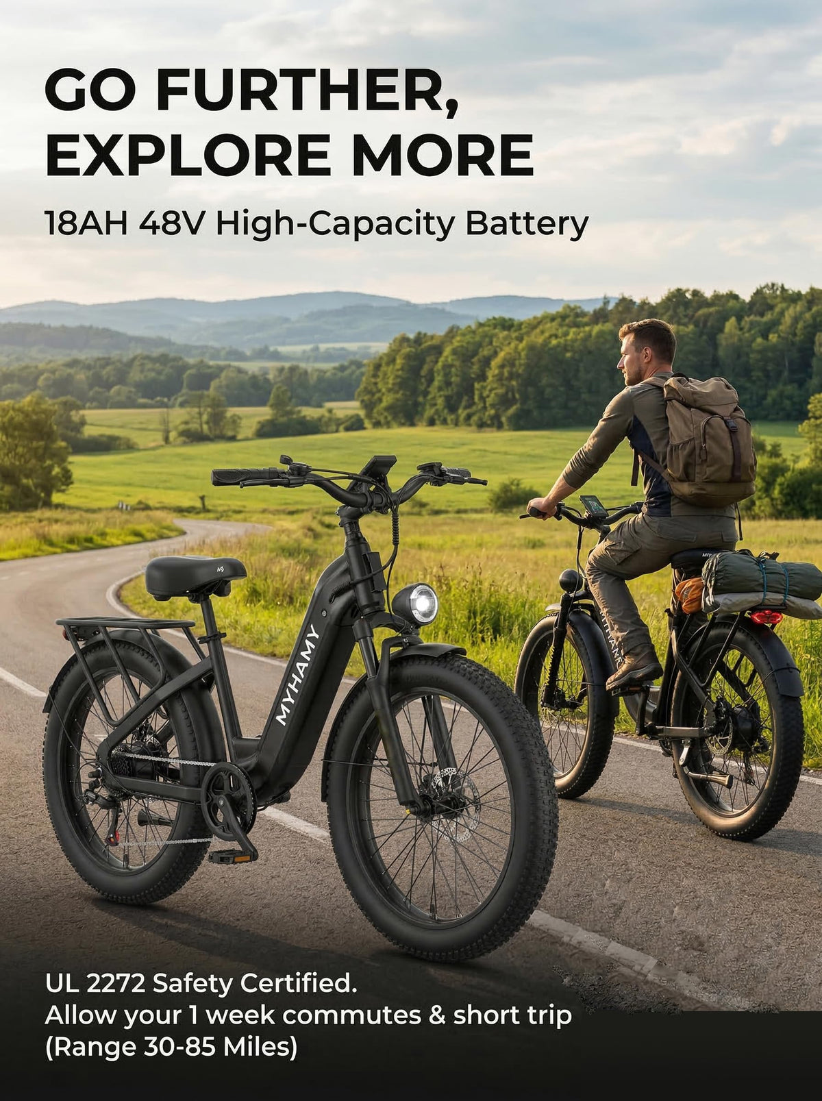2000W Electric Bike 24 Fat Tire 48V 18Ah Step-Thru Y1554
