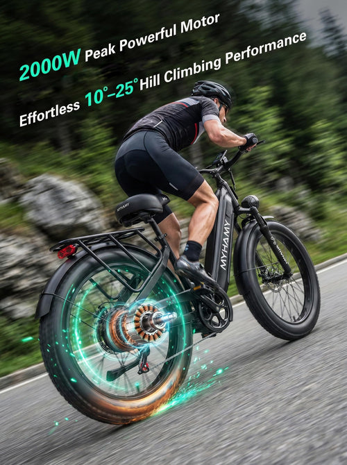 2000W Electric Bike 24 Fat Tire 48V 18Ah Step-Thru Y1554