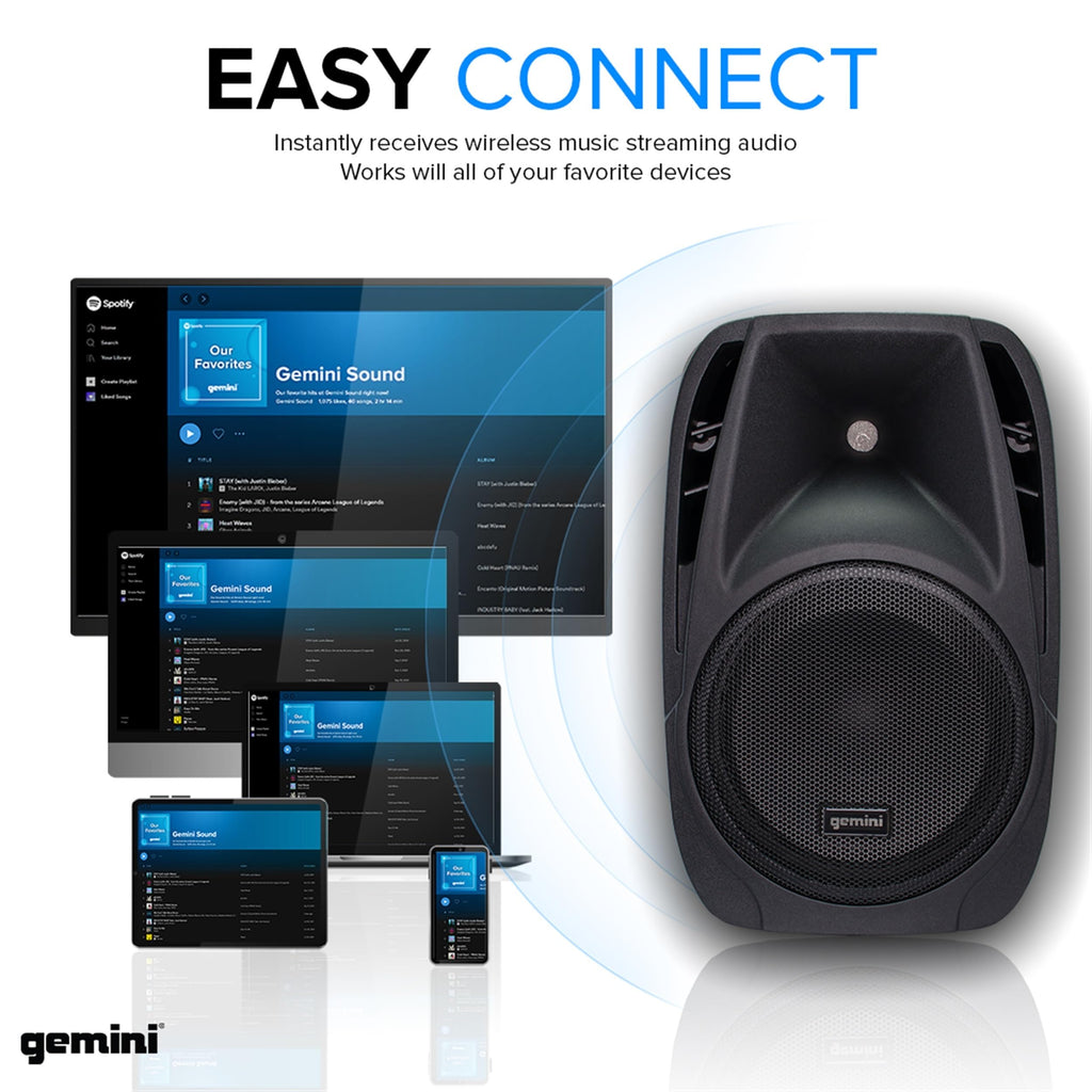 Portable PA System with Dual 10" Speakers V15393