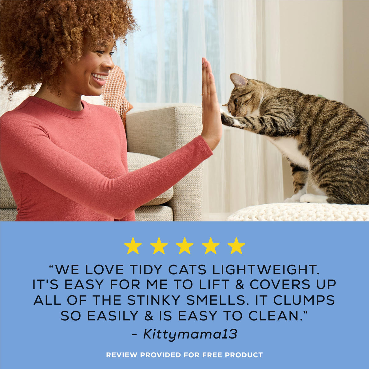 4-in-1 Strength Cat Litter, 17 lb G55426