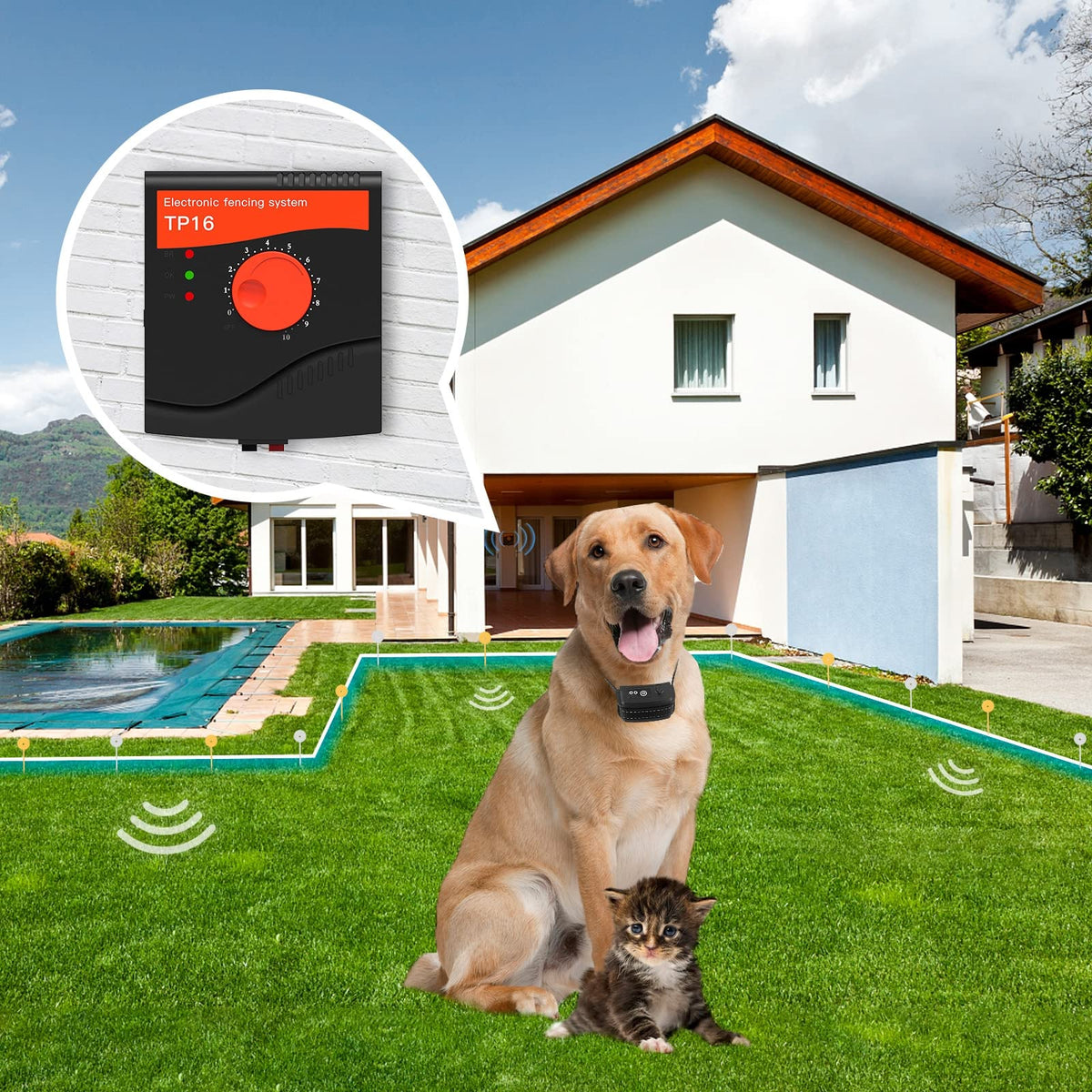 Electric Dog Fence, 984 Ft Wire, IP66 Waterproof Receiver D69065