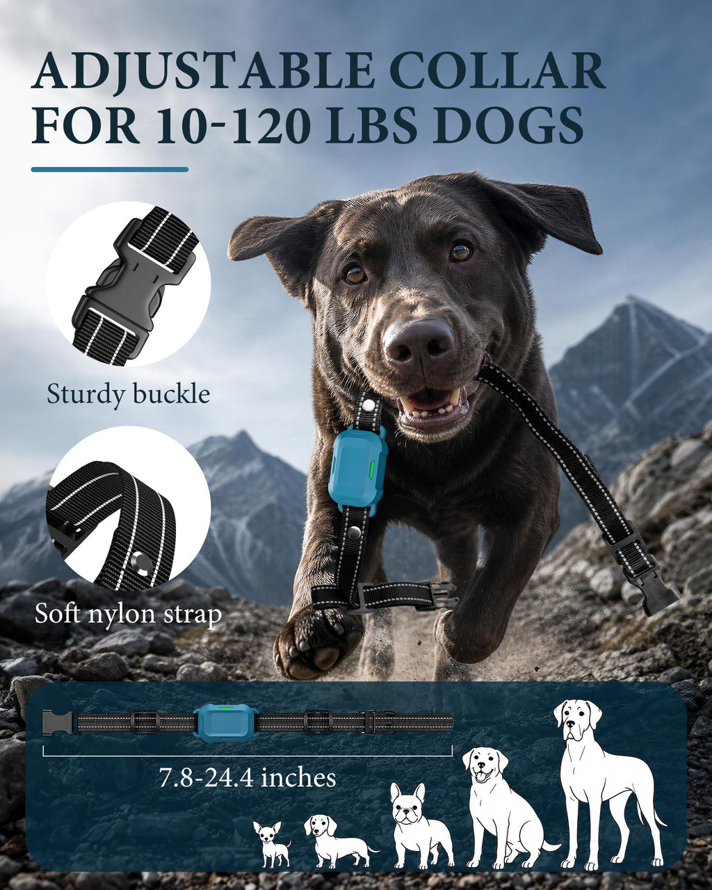 Dog Training Collar with Remote H709899