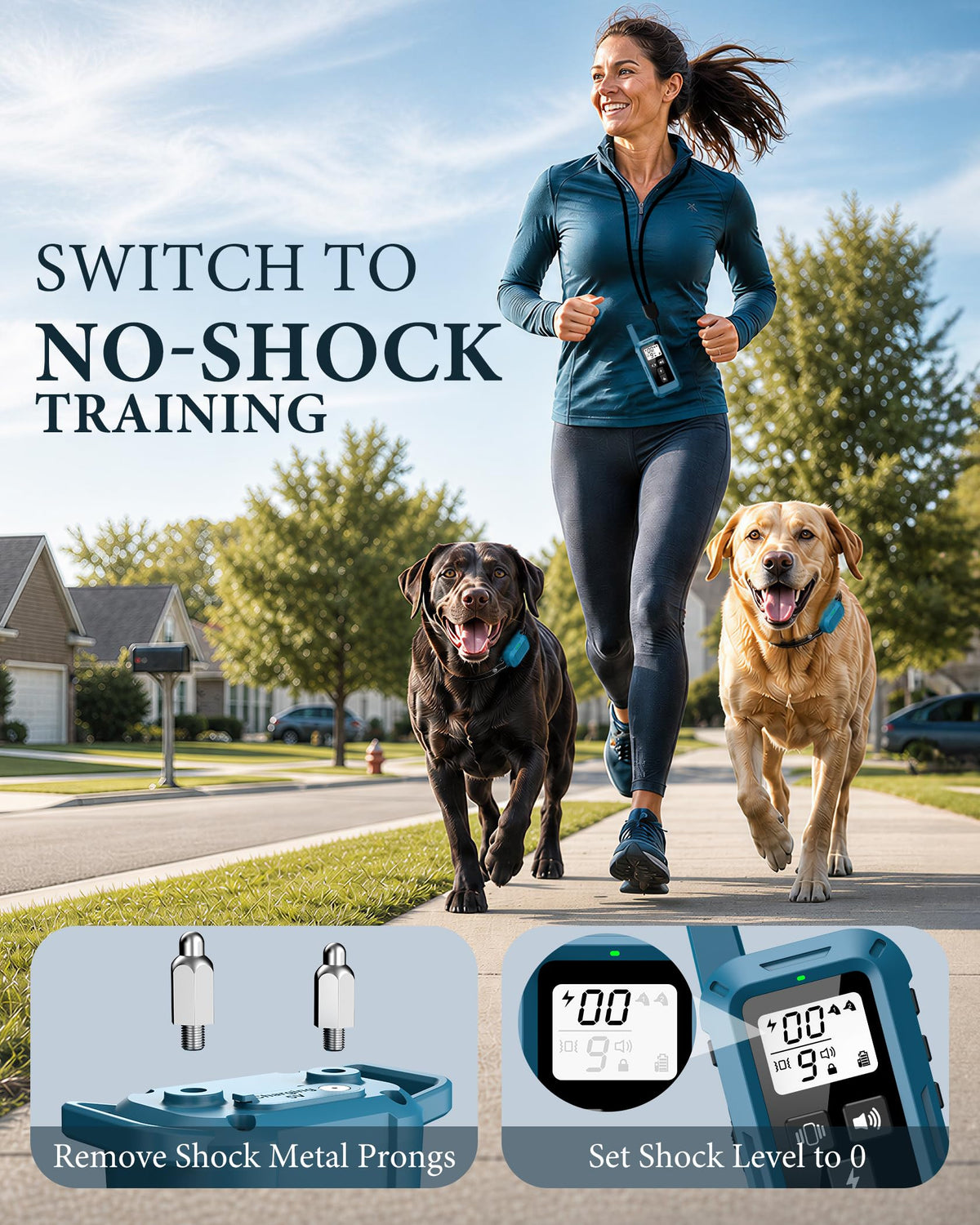 Dog Training Collar with Remote H709899