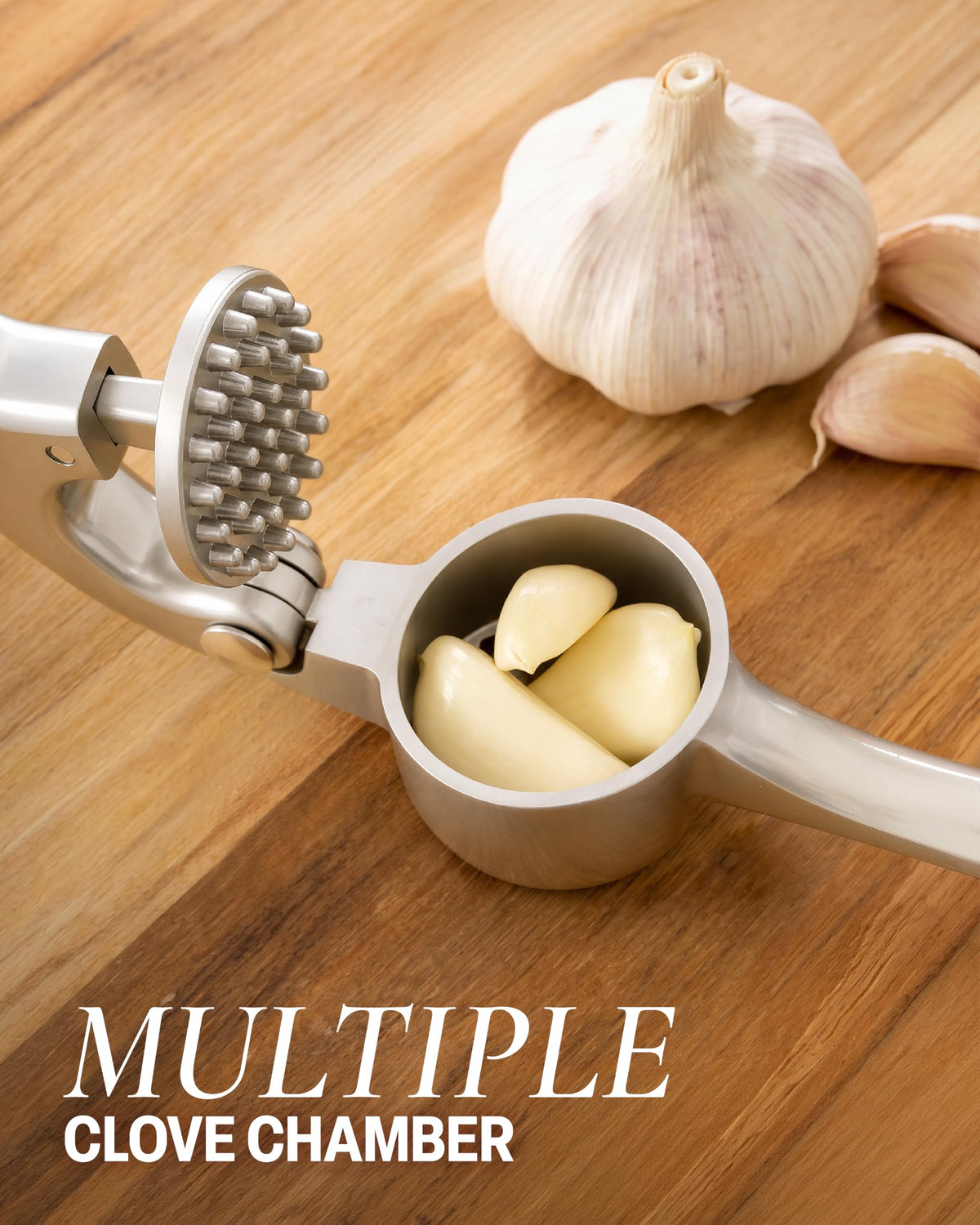 Garlic Press Set with Silicone Peeler & Brush D61531
