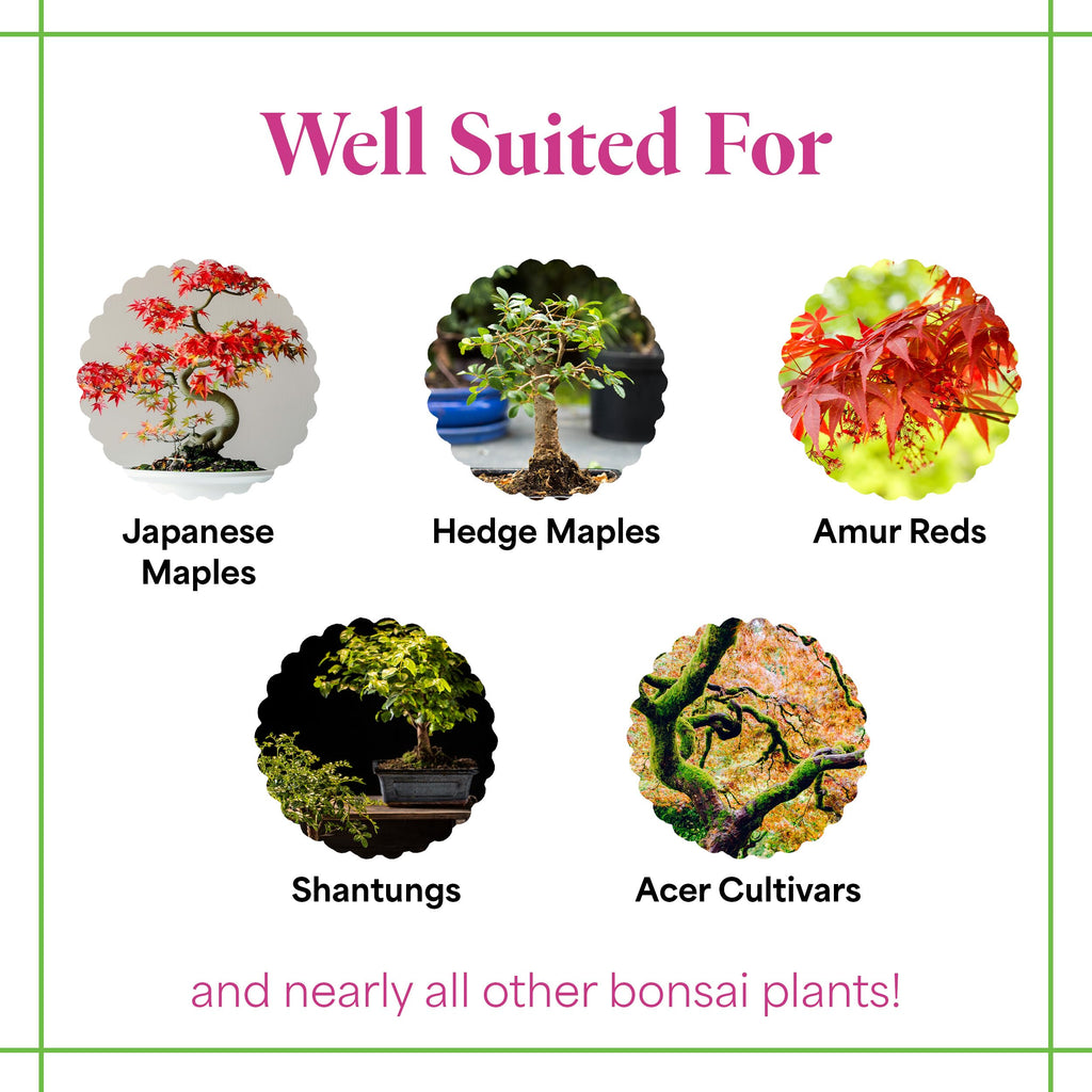 Organic Liquid Bonsai Fertilizer 8 oz Concentrate D5492
