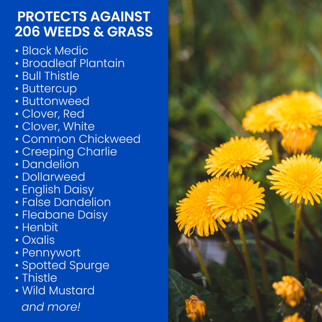 Southern Weed Killer for Lawns 1 Gal Pack of 2 S708